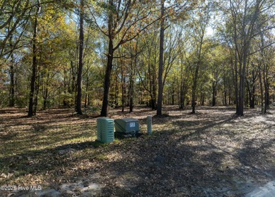 Come build your dream home on this one of a kind lot in River on River Landing Golf Course in North Carolina - for sale on GolfHomes.com, golf home, golf lot