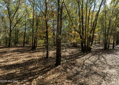 Come build your dream home on this one of a kind lot in River on River Landing Golf Course in North Carolina - for sale on GolfHomes.com, golf home, golf lot