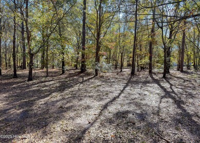 Come build your dream home on this one of a kind lot in River on River Landing Golf Course in North Carolina - for sale on GolfHomes.com, golf home, golf lot