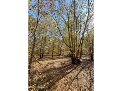 Come build your dream home on this one of a kind lot in River on River Landing Golf Course in North Carolina - for sale on GolfHomes.com, golf home, golf lot