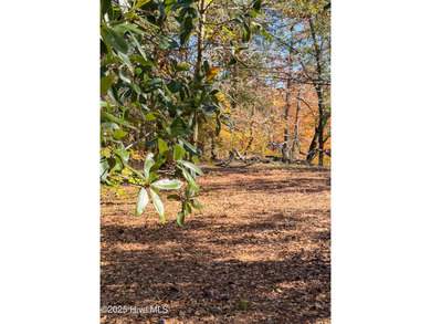 Come build your dream home on this one of a kind lot in River on River Landing Golf Course in North Carolina - for sale on GolfHomes.com, golf home, golf lot