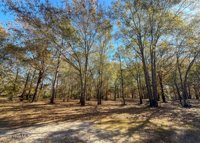Come build your dream home on this one of a kind lot in River on River Landing Golf Course in North Carolina - for sale on GolfHomes.com, golf home, golf lot