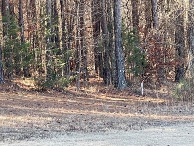 This lot would be a fantastic site to build your dream home! on Isabella Golf Course  in Arkansas - for sale on GolfHomes.com, golf home, golf lot