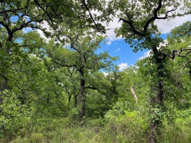 Fantastic 1.5 acre corner lot in the private gated community of on Nocona Hills Golf Course in Texas - for sale on GolfHomes.com, golf home, golf lot