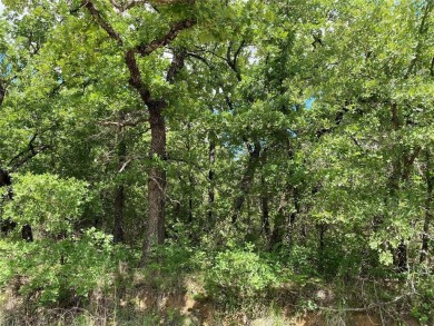 Fantastic 1.5 acre corner lot in the private gated community of on Nocona Hills Golf Course in Texas - for sale on GolfHomes.com, golf home, golf lot