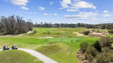 Nestled along the 11th green of the Norman Golf Course in the on Barefoot Resort and Golf Club  in South Carolina - for sale on GolfHomes.com, golf home, golf lot