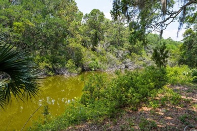 Situated within the quiet and private enclave of Island Green on DeBordieu Country Club in South Carolina - for sale on GolfHomes.com, golf home, golf lot