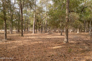 WATERFRONT COMMUNITY! Holden Beach Island is less than 5 miles on Lockwood Folly Country Club in North Carolina - for sale on GolfHomes.com, golf home, golf lot