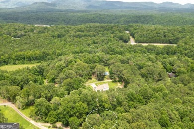 **Charming 5-Bedroom Home with In-Law Suite on 1 Acre of Private on Arrowhead Country Club in Georgia - for sale on GolfHomes.com, golf home, golf lot