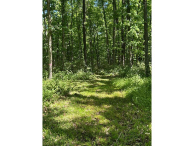 Beautiful 4 acre tract of land located in unincorporated Lincoln on Woods Fort Country Club in Missouri - for sale on GolfHomes.com, golf home, golf lot