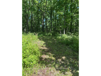 Beautiful 4 acre tract of land located in unincorporated Lincoln on Woods Fort Country Club in Missouri - for sale on GolfHomes.com, golf home, golf lot