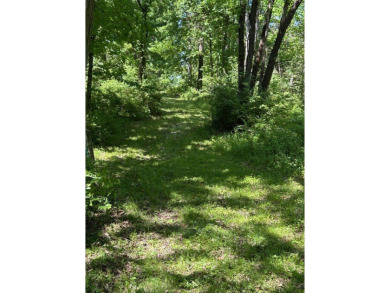 Beautiful 4 acre tract of land located in unincorporated Lincoln on Woods Fort Country Club in Missouri - for sale on GolfHomes.com, golf home, golf lot