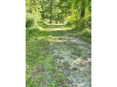 Beautiful 4 acre tract of land located in unincorporated Lincoln on Woods Fort Country Club in Missouri - for sale on GolfHomes.com, golf home, golf lot
