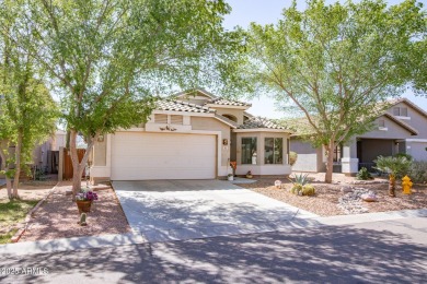 Beautiful single story home with relaxing, idyllic backyard on a on The Golf Club At Johnson Ranch in Arizona - for sale on GolfHomes.com, golf home, golf lot