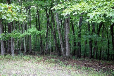 Your Dream Home Awaits at Lake Dartmoor. Imagine waking up every on Heatherhurst Golf Course in Tennessee - for sale on GolfHomes.com, golf home, golf lot