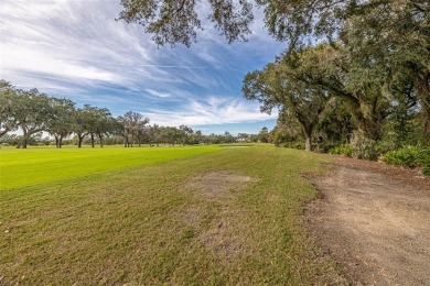 This spacious lot overlooks the Sea Island Golf Course, offering on Sea Island Golf Club in Georgia - for sale on GolfHomes.com, golf home, golf lot
