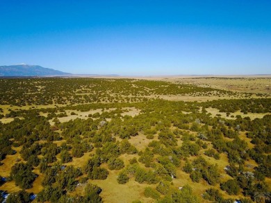 Tucked away on the north side of Walsenburg, this 35-acre slice on Walsenburg Golf Club in Colorado - for sale on GolfHomes.com, golf home, golf lot