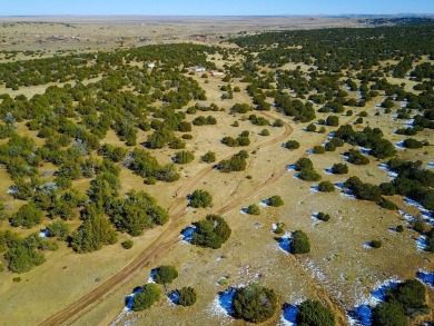 Tucked away on the north side of Walsenburg, this 35-acre slice on Walsenburg Golf Club in Colorado - for sale on GolfHomes.com, golf home, golf lot