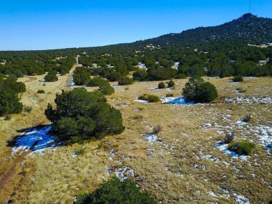 Tucked away on the north side of Walsenburg, this 35-acre slice on Walsenburg Golf Club in Colorado - for sale on GolfHomes.com, golf home, golf lot