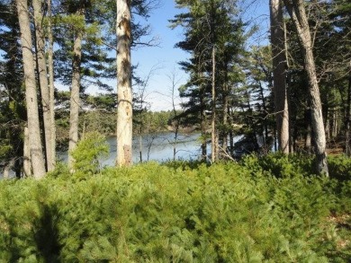 Lot 16, a buildable wooded lot on Nepco Lake, Central Wis. Build on The Ridges Golf Club in Wisconsin - for sale on GolfHomes.com, golf home, golf lot