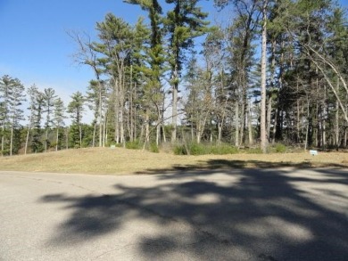 Lot 16, a buildable wooded lot on Nepco Lake, Central Wis. Build on The Ridges Golf Club in Wisconsin - for sale on GolfHomes.com, golf home, golf lot