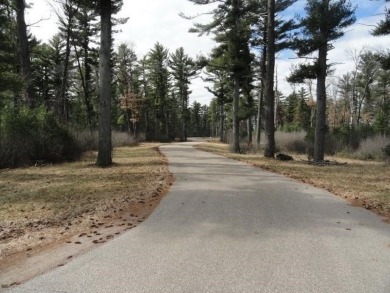 Lot 16, a buildable wooded lot on Nepco Lake, Central Wis. Build on The Ridges Golf Club in Wisconsin - for sale on GolfHomes.com, golf home, golf lot