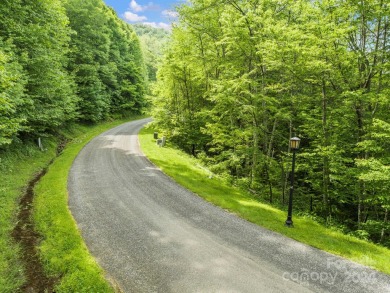 Welcome to Wolf Laurel, a 5,300 acre nature lovers paradise on Wolf Laurel Country Club in North Carolina - for sale on GolfHomes.com, golf home, golf lot