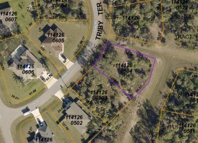 This oversized lot is a prime opportunity for building the home on Bobcat Trail Golf Club in Florida - for sale on GolfHomes.com, golf home, golf lot