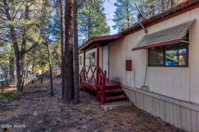 Tucked back on a quaint road close to everything you will find on Torreon Golf Club in Arizona - for sale on GolfHomes.com, golf home, golf lot