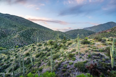 Special site in Cintarosa Ranch Village of Saguaro Forest at on Desert Mountain Golf Club - Renegade Course in Arizona - for sale on GolfHomes.com, golf home, golf lot