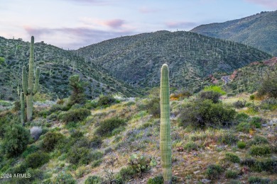Special site in Cintarosa Ranch Village of Saguaro Forest at on Desert Mountain Golf Club - Renegade Course in Arizona - for sale on GolfHomes.com, golf home, golf lot
