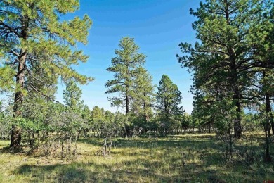 Judy L Darwick, United Country Sneffels Realty, Cell: on The Divide Ranch and Club in Colorado - for sale on GolfHomes.com, golf home, golf lot