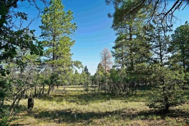 Judy L Darwick, United Country Sneffels Realty, Cell: on The Divide Ranch and Club in Colorado - for sale on GolfHomes.com, golf home, golf lot