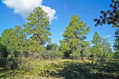 Judy L Darwick, United Country Sneffels Realty, Cell: on The Divide Ranch and Club in Colorado - for sale on GolfHomes.com, golf home, golf lot