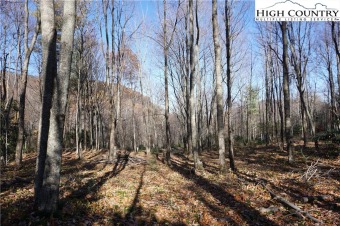 This wooded, level easy building lot is part of Buck Mountain on Mountain Aire Golf Course in North Carolina - for sale on GolfHomes.com, golf home, golf lot