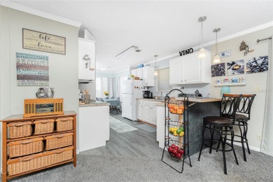 Port Charlotte Village, a resident-owned, 55+ community, has on Kings Gate Golf Club in Florida - for sale on GolfHomes.com, golf home, golf lot
