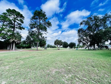This Beautiful almost cleared vacant lot is ready for your new on Brookridge Country Club in Florida - for sale on GolfHomes.com, golf home, golf lot