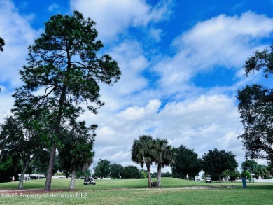 This Beautiful almost cleared vacant lot is ready for your new on Brookridge Country Club in Florida - for sale on GolfHomes.com, golf home, golf lot