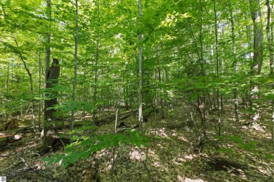 Tucked into the heart of Leelanau County, this beautifully treed on Manitou Passage Golf Club in Michigan - for sale on GolfHomes.com, golf home, golf lot