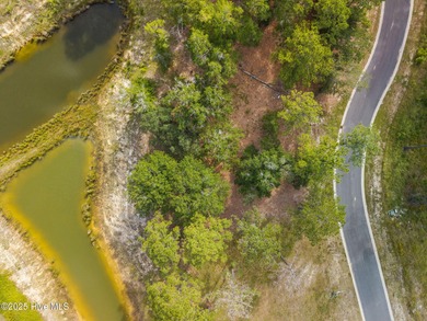 Discover the perfect blend of nature and lifestyle at Ocean on Sea Trail Golf Resort in North Carolina - for sale on GolfHomes.com, golf home, golf lot