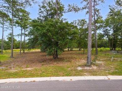 Discover the perfect blend of nature and lifestyle at Ocean on Sea Trail Golf Resort in North Carolina - for sale on GolfHomes.com, golf home, golf lot