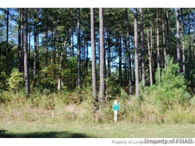 This one third acre home site located in the gated neighborhood on Anderson Creek Golf Club in North Carolina - for sale on GolfHomes.com, golf home, golf lot
