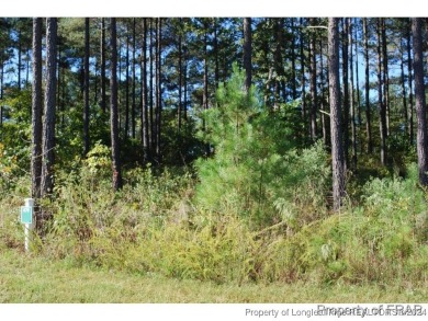 This one third acre home site located in the gated neighborhood on Anderson Creek Golf Club in North Carolina - for sale on GolfHomes.com, golf home, golf lot