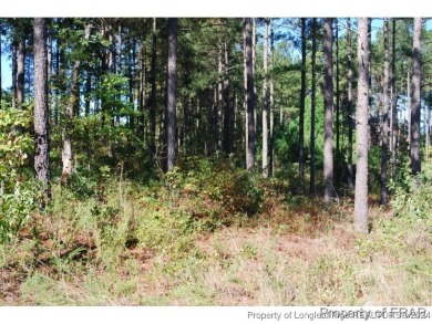 This one third acre home site located in the gated neighborhood on Anderson Creek Golf Club in North Carolina - for sale on GolfHomes.com, golf home, golf lot