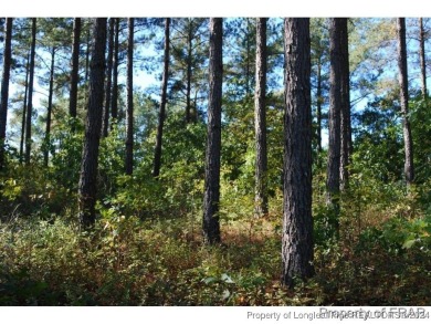 This one third acre home site located in the gated neighborhood on Anderson Creek Golf Club in North Carolina - for sale on GolfHomes.com, golf home, golf lot