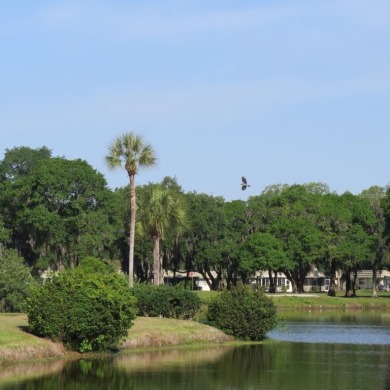 Hoping to live in a home immersed in Florida's natural beauty?
 on Kings Point Executive Golf Course in Florida - for sale on GolfHomes.com, golf home, golf lot