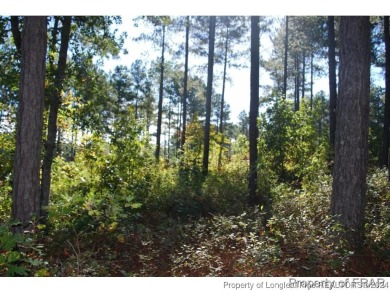 This one third acre home site located in the gated neighborhood on Anderson Creek Golf Club in North Carolina - for sale on GolfHomes.com, golf home, golf lot