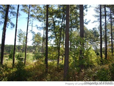 This one third acre home site located in the gated neighborhood on Anderson Creek Golf Club in North Carolina - for sale on GolfHomes.com, golf home, golf lot