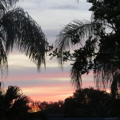 Hoping to live in a home immersed in Florida's natural beauty?
 on Kings Point Executive Golf Course in Florida - for sale on GolfHomes.com, golf home, golf lot