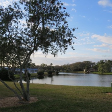 Hoping to live in a home immersed in Florida's natural beauty?
 on Kings Point Executive Golf Course in Florida - for sale on GolfHomes.com, golf home, golf lot